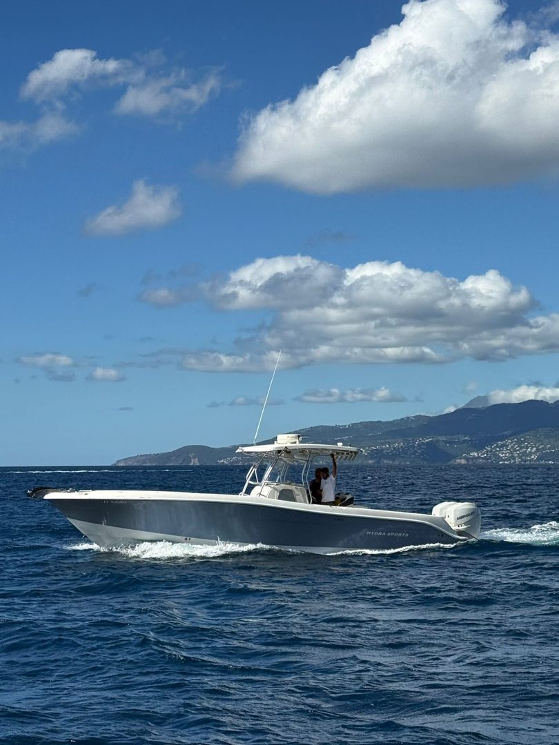 Excursion dauphins et tortues en bateau Martinique – Chill n Sea